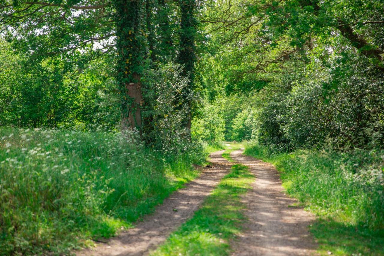 Vakantiepark Westerwolde Pagedal Stadskanaal Exteriér fotografie
